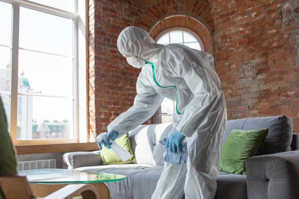 Best Mold Remediation for Healthcare Facilities in Murphy, TX